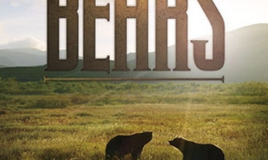 BEARS