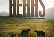 BEARS